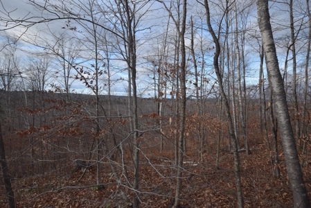 Maine Land for Sale in Greenfield - image 21