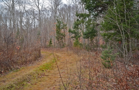 Maine Land for Sale in Greenfield - image 16