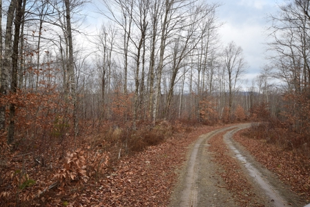 Maine Land for Sale in Greenfield - image 27
