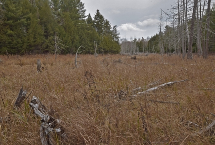Maine Land for Sale in Greenfield - image 13