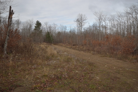 Maine Land for Sale in Greenfield - image 3