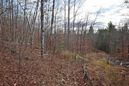 Maine Land for Sale in Greenfield - image 23