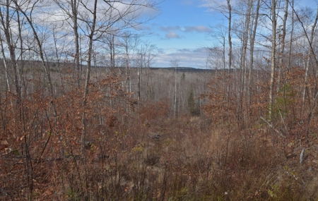 Maine Land for Sale in Greenfield - image 22