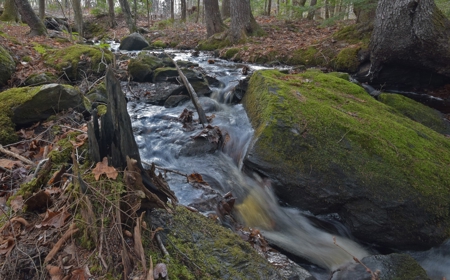 Maine Land for Sale in Greenfield - image 11