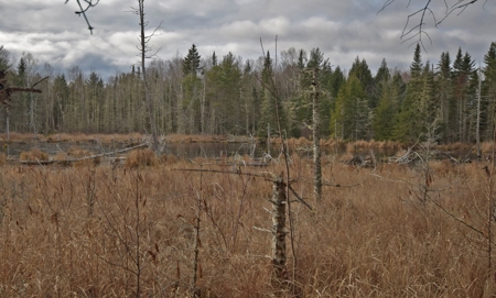 Maine Land for Sale in Greenfield - image 17