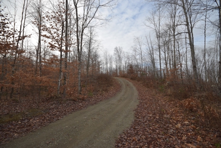 Maine Land for Sale in Greenfield - image 8