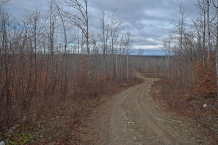 Maine Land for Sale in Greenfield - image 5