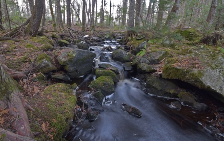 Maine Land for Sale in Greenfield - image 12