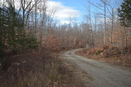 Maine Land for Sale in Greenfield - image 2