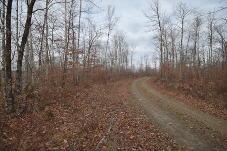 Maine Land for Sale in Greenfield - image 4