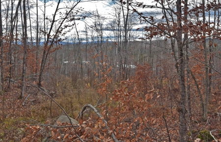 Maine Land for Sale in Greenfield - image 26