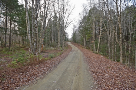Maine Land for Sale in Greenfield - image 9