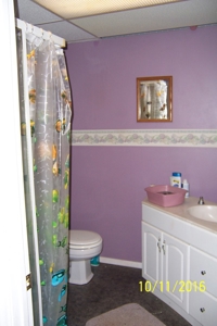 Hemlock Built Home with Free Gas 12 Ac. m/l - image 19