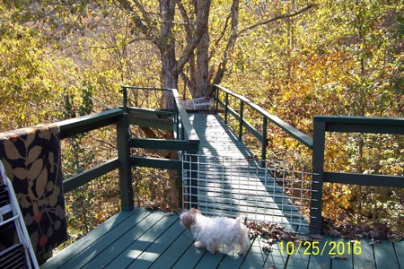 Hemlock Built Home with Free Gas 12 Ac. m/l - image 6