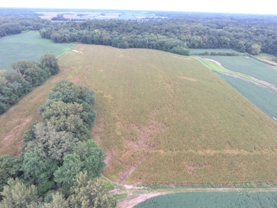 40 Acres in Jasper County, IL – Hunt, Farm, Relax, and Earn! - image 1