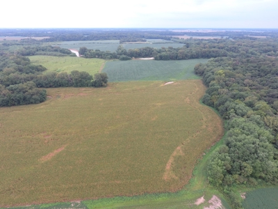 40 Acres in Jasper County, IL – Hunt, Farm, Relax, and Earn! - image 2