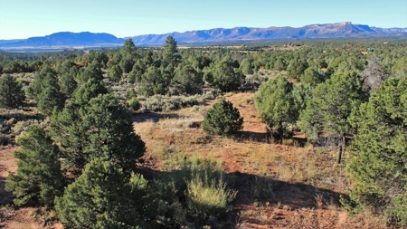 Modern Design Home on Secluded Acreage Near Durango, CO - image 12