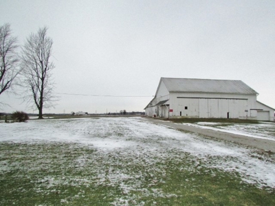 Nice Country Home and Farm Land for Auction - image 9