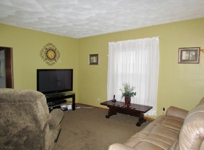 Nice Country Home and Farm Land for Auction - image 25