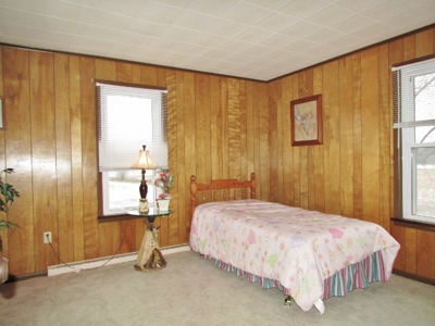 Nice Country Home and Farm Land for Auction - image 14