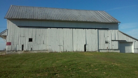 Nice Country Home and Farm Land for Auction - image 10