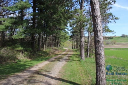 Recently Updated Home with Land for Hunting - image 23
