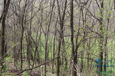 Recently Updated Home with Land for Hunting - image 31