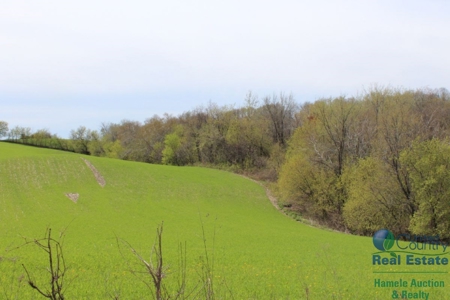 Recently Updated Home with Land for Hunting - image 25