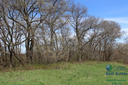 Recently Updated Home with Land for Hunting - image 35