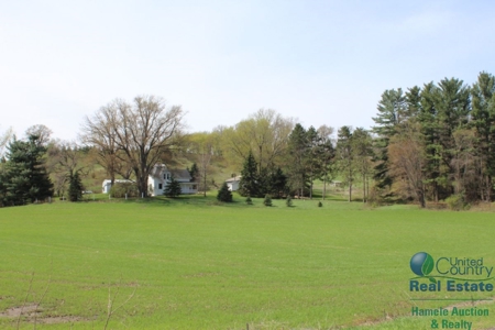 Recently Updated Home with Land for Hunting - image 9