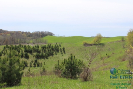 Recently Updated Home with Land for Hunting - image 27