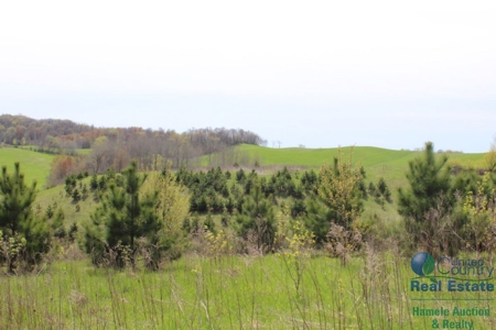 Recently Updated Home with Land for Hunting - image 28