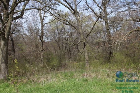 Recently Updated Home with Land for Hunting - image 33