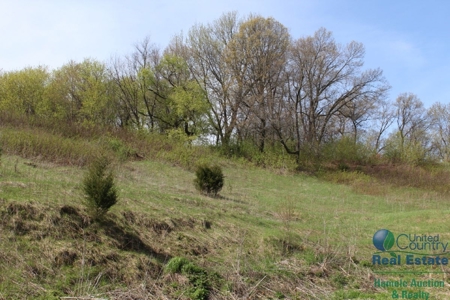 Recently Updated Home with Land for Hunting - image 34