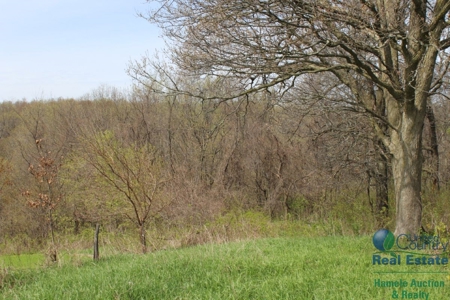 Recently Updated Home with Land for Hunting - image 32
