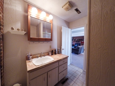 Updated Historic Home For Sale in Hermann, MO - image 5
