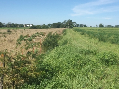 Northeast Kansas Public Land Auction 136 +/- Acres - image 6