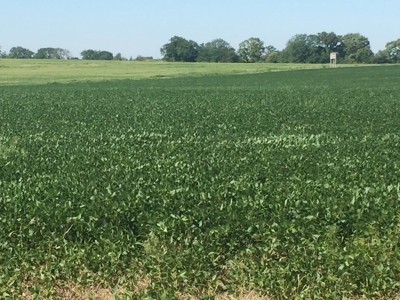 Northeast Kansas Public Land Auction 136 +/- Acres - image 1