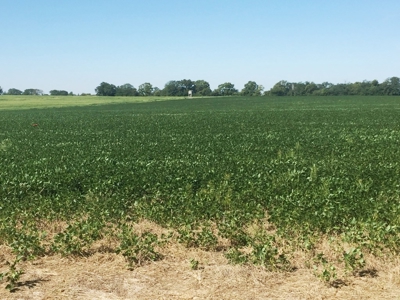 Northeast Kansas Public Land Auction 136 +/- Acres - image 8