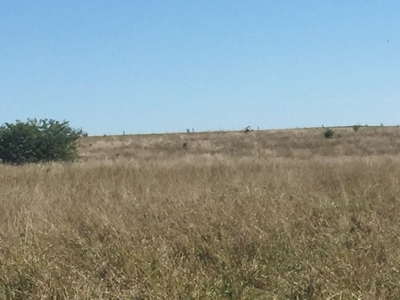 Northeast Kansas Public Land Auction 136 +/- Acres - image 2