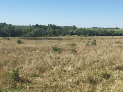 Northeast Kansas Public Land Auction 136 +/- Acres - image 5