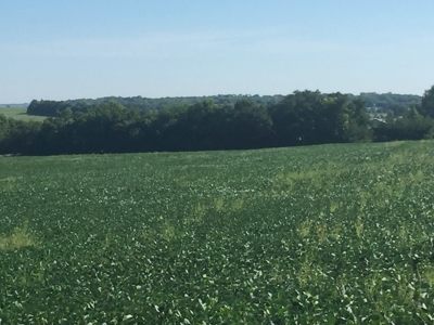 Northeast Kansas Public Land Auction 117 +/- Acres - image 7
