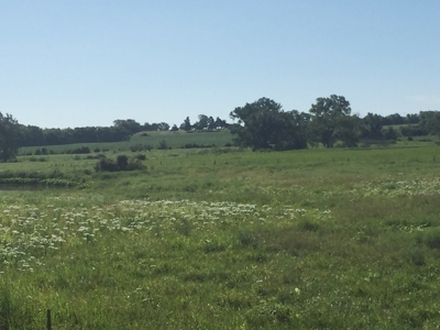 Northeast Kansas Public Land Auction 117 +/- Acres - image 13