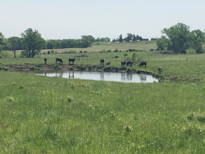 Northeast Kansas Public Land Auction 117 +/- Acres - image 3
