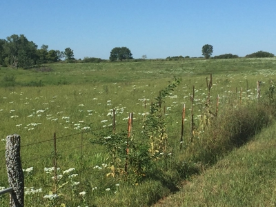 Northeast Kansas Public Land Auction 117 +/- Acres - image 11