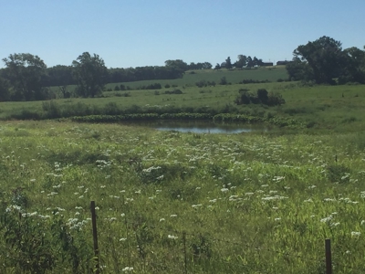 Northeast Kansas Public Land Auction 117 +/- Acres - image 12