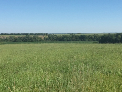 Northeast Kansas Public Land Auction 117 +/- Acres - image 4