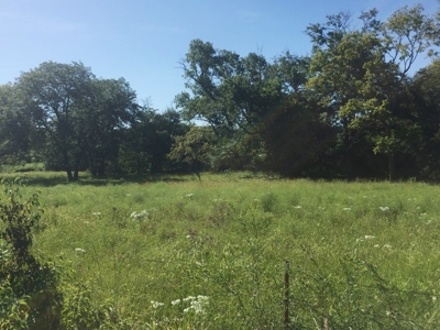 Northeast Kansas Public Land Auction 117 +/- Acres - image 8