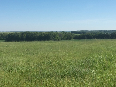 Northeast Kansas Public Land Auction 117 +/- Acres - image 5