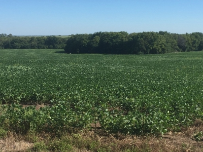 Northeast Kansas Public Land Auction 117 +/- Acres - image 6